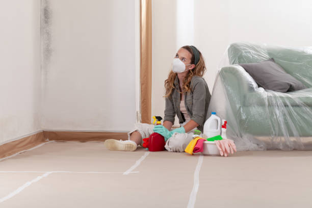 Reliable Crawl Space Mold Removal contractor in Washington Boro, PA by WQB Mold Removal