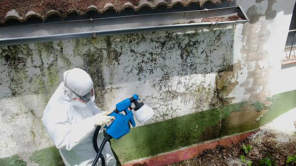 Top rated local Crawl Space Mold Removal specialists in Washington Boro, PA
